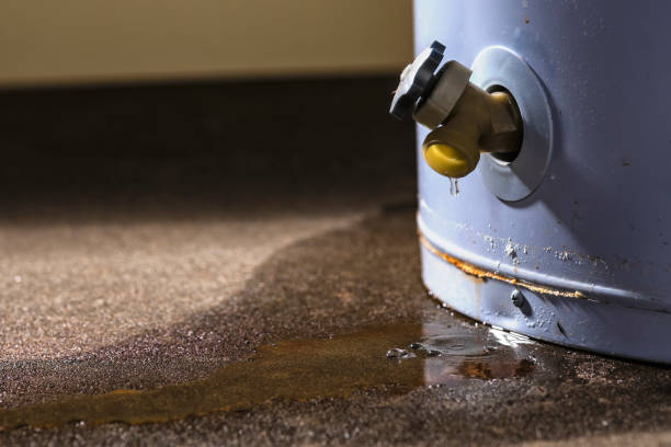 Best Water damage contractors near me  in Rosedale, LA