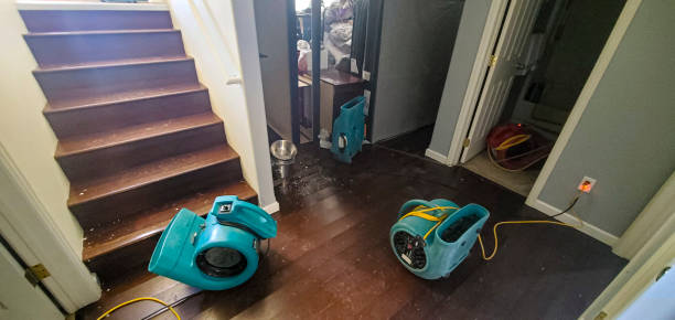 Best Flood restoration services  in Rosedale, LA