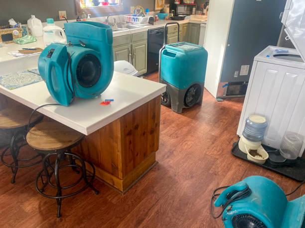 Best Flood damage cleanup  in Rosedale, LA
