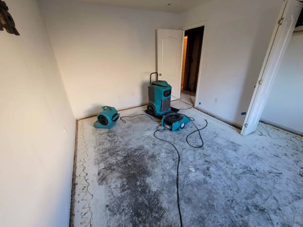 Best Mold removal after water damage  in Rosedale, LA