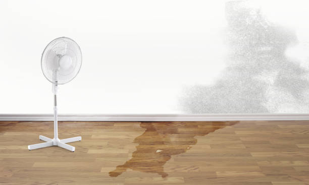 Best Water damage restoration services  in Rosedale, LA