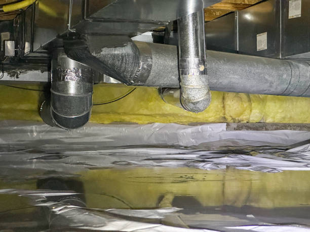 Best Water damage restoration near me  in Rosedale, LA